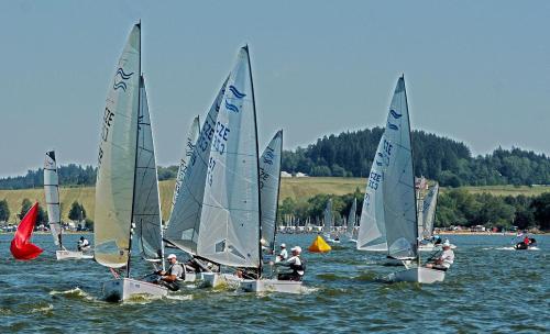 a group of sailboats in a body of water at Apartmány Pinie Lipno in Lipno nad Vltavou