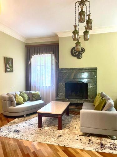a living room with two couches and a fireplace at Beauty in the Heart of the City in Tbilisi City