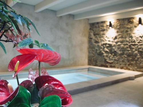 a swimming pool with a red flower in front of it at CAN SAFRA in La Pera