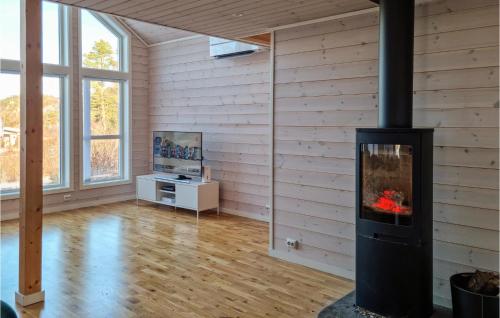 a living room with a woodburning stove in a house at Stunning Home In Lyngdal With Wifi in Lyngdal