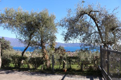 a gate with trees and a view of the water at Relax in the Olive Grove in Toscolano Maderno