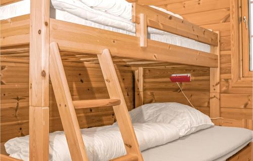 two bunk beds in a wooden room with a ladder at Nice Home In Sjernarøy With Wifi in Sjernarøy
