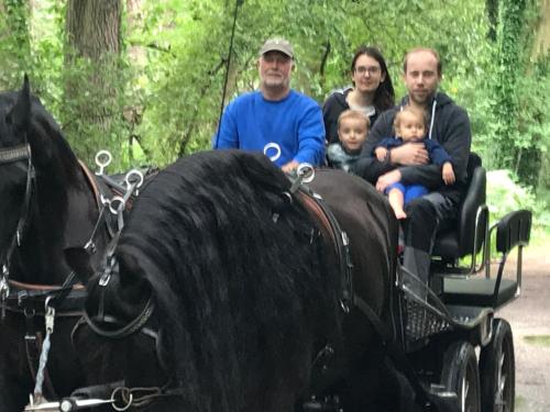 a family riding in a horse drawn carriage at de Swaenhoeve in Zoersel