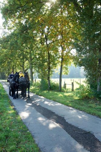 a couple of horses pulling a carriage down a road at de Swaenhoeve in Zoersel