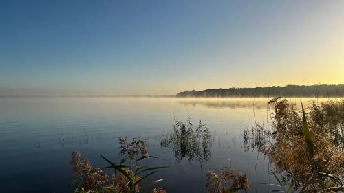 a misty lake with trees in the background at Müggelseeperle in Berlin