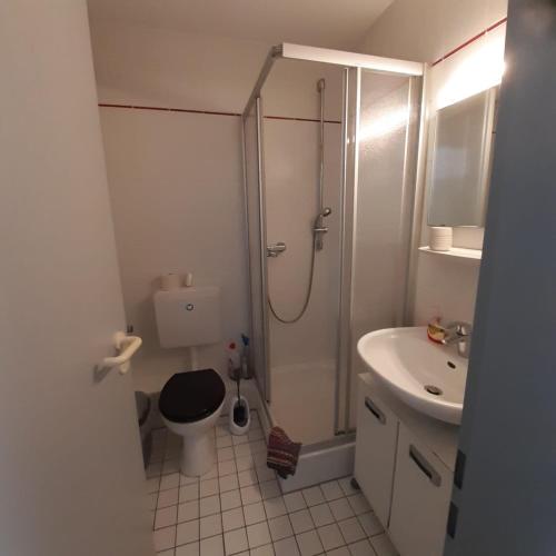 W łazience znajduje się prysznic, toaleta i umywalka. w obiekcie City-ALL-IN-ONE Studio Paderborn w mieście Paderborn