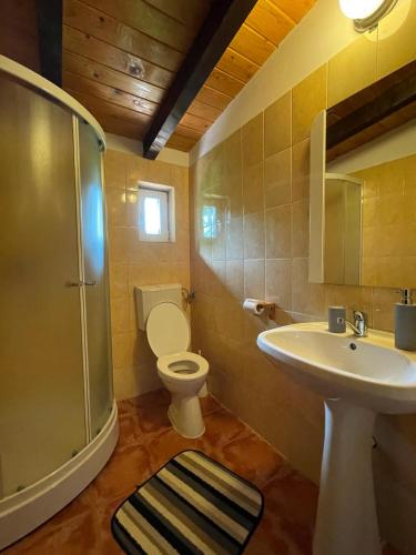 a bathroom with a toilet and a sink and a shower at Pensiunea Cehov in Bran