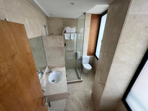 uma casa de banho com um chuveiro e um WC. em Duque de Wellington em Vitoria-Gasteiz