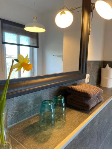 a bathroom sink with a mirror and a towel and a flower at Gästehaus Kleiner Wacholder in Bad Doberan