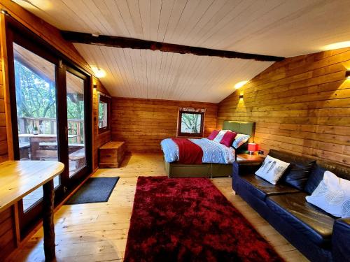 a bedroom with a bed and a couch in a room at Tree House in Aberaeron