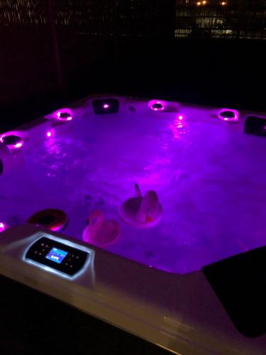 Foto dalla galleria di Apartament Koliber Spa a Rzeszów