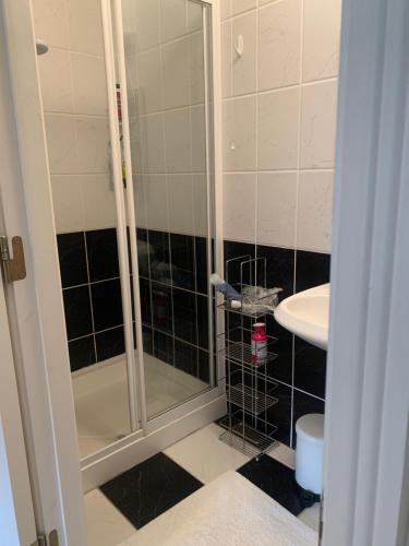 a bathroom with a shower and a sink at Lough Rynn-Lord Leitrim in Rivers Town