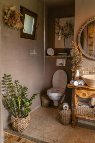 a bathroom with a toilet and a sink and a mirror at Tripsylvania Tiny House Kili in Şirnea