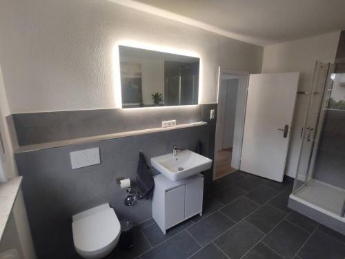 ein Badezimmer mit einem Waschbecken, einem WC und einem Spiegel in der Unterkunft Vogelnest - Wohlfühlen im Grünen in Karlsruhe