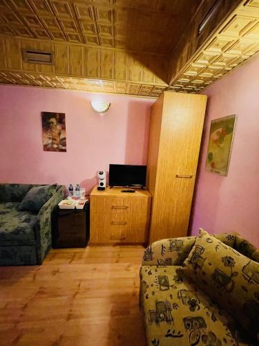 TV a/nebo společenská místnost v ubytování Penzión Tyché