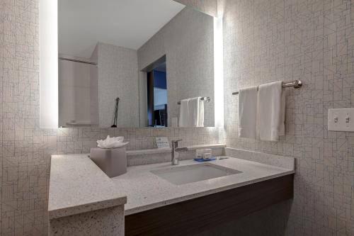 y baño con lavabo y espejo. en Holiday Inn Express & Suites - Ann Arbor - University South, an IHG Hotel, en Ann Arbor