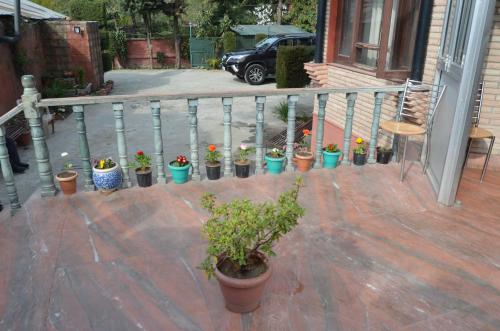 a bunch of potted plants on a porch at zoz 3s1 in Srinagar