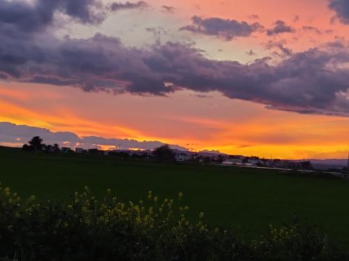 a sunset over a green field at sunset at Palm garden paradise in Pervolia