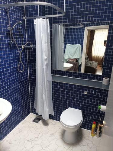 a blue tiled bathroom with a toilet and a shower at Self-contained private apartment Unit 1 in London