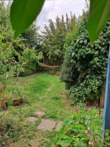 a garden with a fence and some plants and grass at Pilgrims of the Goddess in Glastonbury