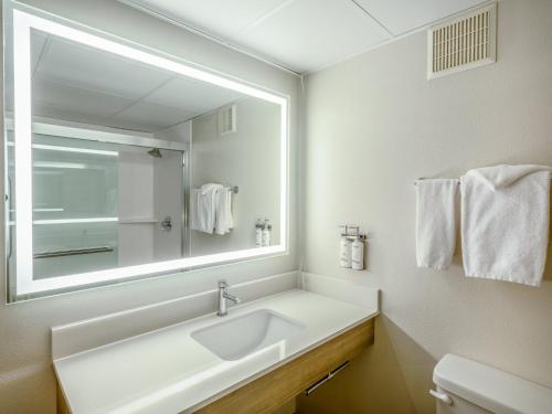 a bathroom with a sink and a large mirror at Holiday Inn Express & Suites Greensboro - I-40 atWendover by IHG in Greensboro