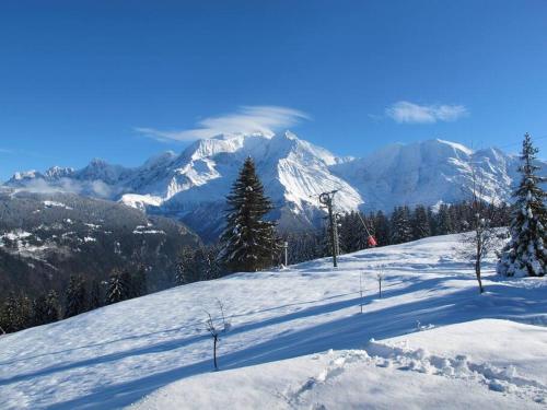 Chalet 7 personnes sur les pistes