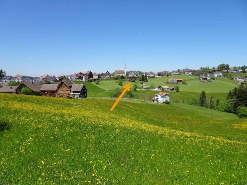 un campo de hierba verde con una flecha amarilla. en Ferienwohnung in Schwellbrunn, en Schwellbrunn