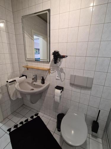 a bathroom with a toilet and a sink and a mirror at Ferienwohnung Rosenberg in Konz-Oberemmel