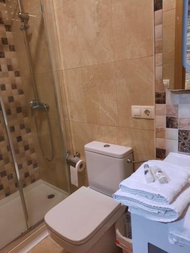 y baño con ducha, aseo y lavamanos. en Airiños Aires, en Santiago de Compostela