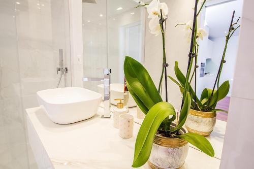 a white bathroom with a sink and plants on a counter at Tower View - Apartamento superior no centro de Aveiro in Aveiro