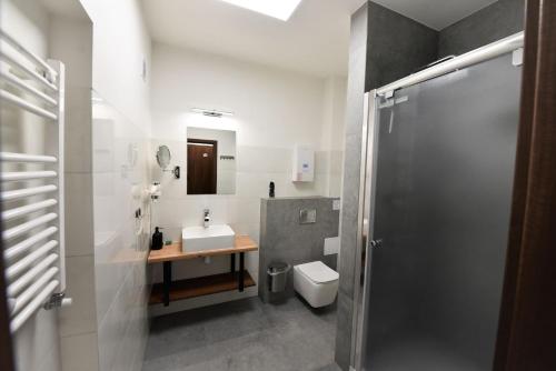 a bathroom with a sink and a toilet at Pensjonat Zuzanna in Hajnówka
