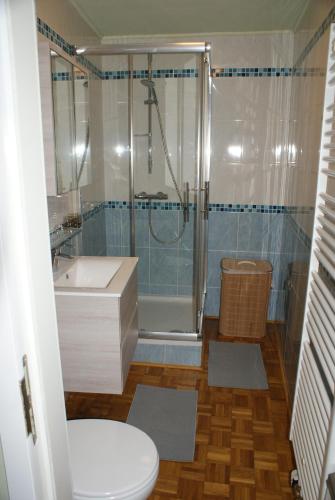 y baño con ducha, lavabo y aseo. en Café du Pêcheurs, en Bouillon