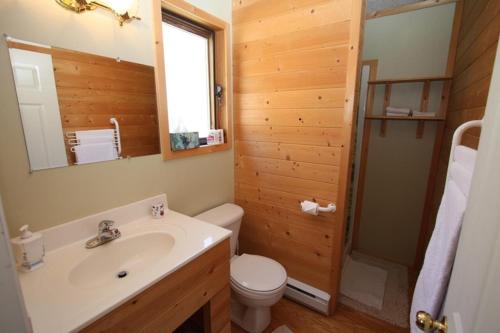 a bathroom with a sink and a toilet and a mirror at Glenogle Mountain Lodge and Spa in Golden