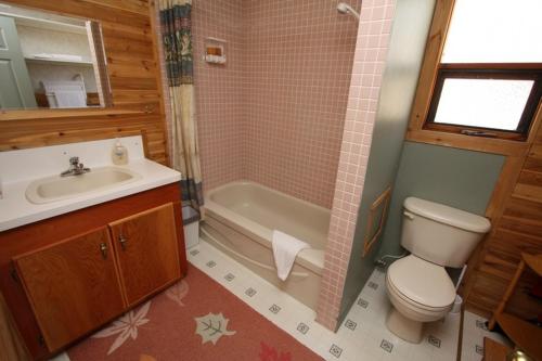 a bathroom with a toilet and a sink and a tub at Glenogle Mountain Lodge and Spa in Golden