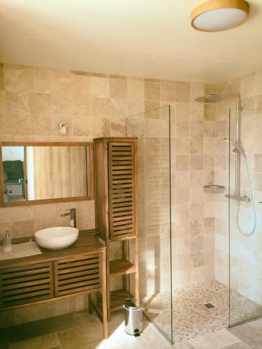 une salle de bain avec un lavabo et une douche en verre dans l'établissement La Montagne Sud, à Allemans