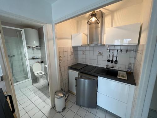 uma pequena cozinha com um lavatório e um WC em T1 bis cosy-proche campus et stade des alpes em Grenoble