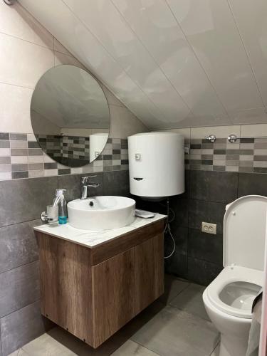 a bathroom with a sink and a mirror and a toilet at Taniq Guesthouse in Artsvaberd