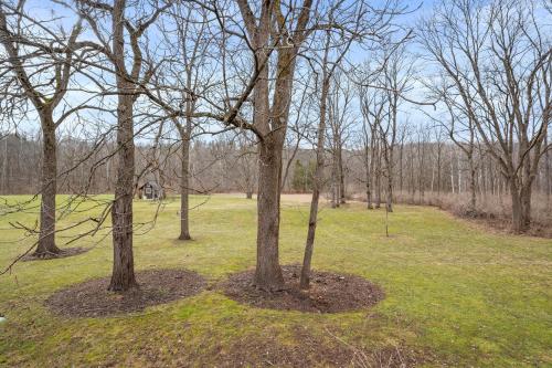 a group of trees in a field of grass at Stratton Creek Inn in Stratton