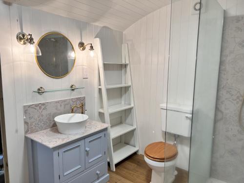 a bathroom with a sink and a toilet and a mirror at Cattlestone Farm in West Chiltington