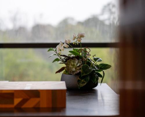 a potted plant sitting on a table in front of a window at Nobu Hotel Atlanta in Atlanta