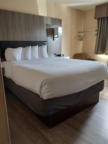 a large bed in a hotel room at Lavissh inn and Suites in Bellingham