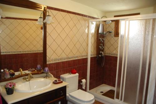 a bathroom with a toilet and a sink and a shower at Casa rural Las Palmeras in Vallehermoso