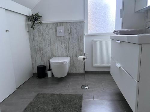 a small bathroom with a toilet and a sink at Akureyri apartments in Akureyri