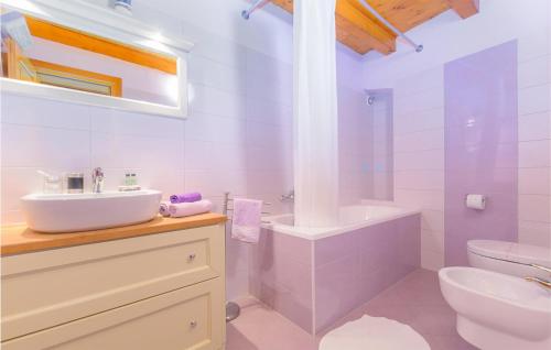 ein weißes Bad mit einem Waschbecken und einem WC in der Unterkunft Stunning Home In Bokordici With Sauna in Bokordići