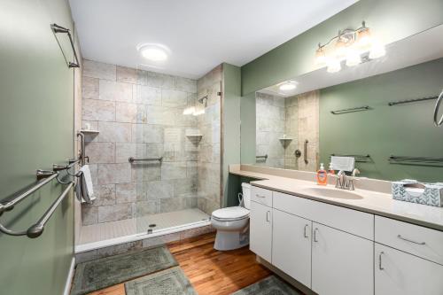 a bathroom with a sink and a toilet and a shower at South Beach 26 in Glen Arbor