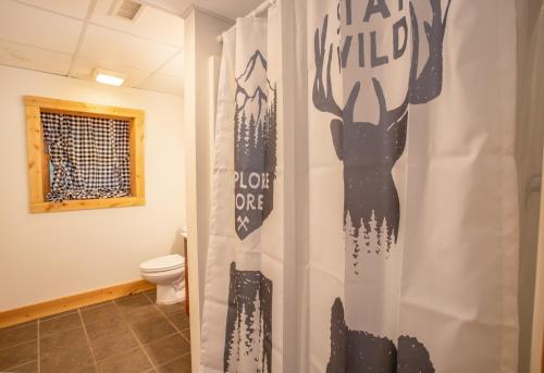 ein Bad mit einem WC und einem Duschvorhang in der Unterkunft New River Lure in West Jefferson
