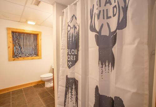 a bathroom with a toilet and a shower curtain at New River Lure in West Jefferson