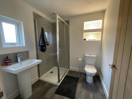 a bathroom with a shower and a toilet and a sink at Newbus Grange Lodge The Cottage in Darlington