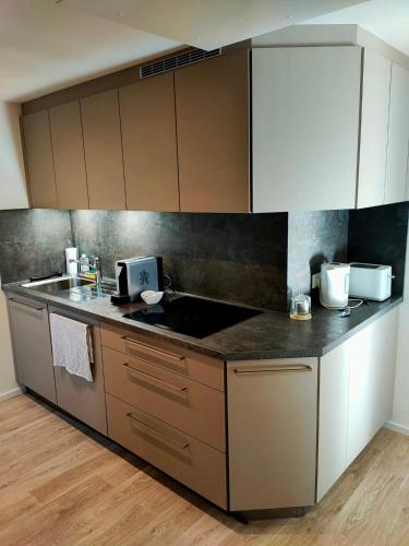 a kitchen with a sink and a counter top at Au pied du Château in Orschwiller