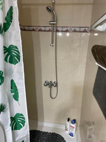 y baño con ducha y cortina de ducha. en Casa Mario, en Los Llanos de Aridane